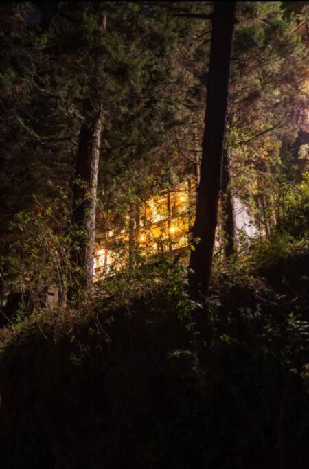מוסורי The Hill Story, Entire Chalet, Offbeat,Cozy מראה חיצוני תמונה